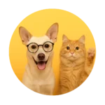 ChatGPT Image Sep 12, 2025, 11_35_57 PM