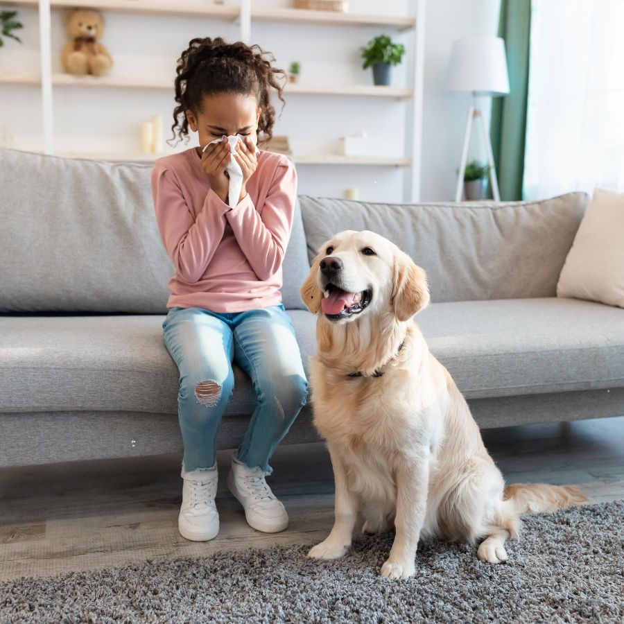 pet allergies