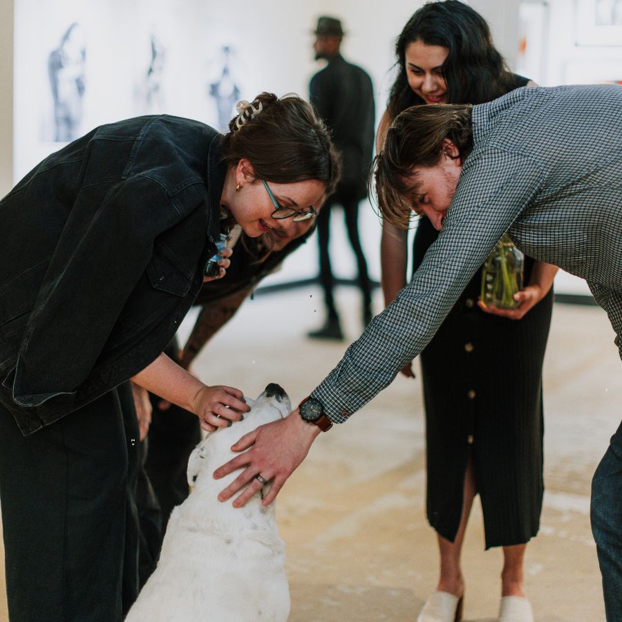 Socialization Basics for Pets